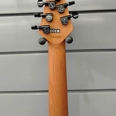 EVH WOLFGANG WG STANDARD 2024 - Absinthe Frost image 8