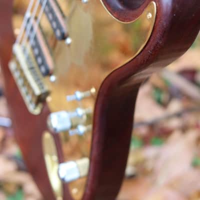 Schecter dream machine exotic woods boogie bodies brass hardware - natural image 5