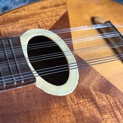 Mandriola Tricordia 12 String Mandolin Bird's Eye image 8