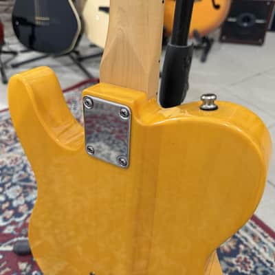 Fender Standard Telecaster, Maple Fingerboard, Black Pickguard, Butterscotch Blonde image 11
