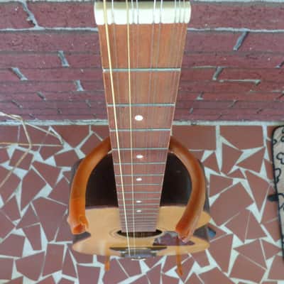 1960's Jackson Guldan Cittern - 10 Strings in B Tuning - Fifths Tuning image 6