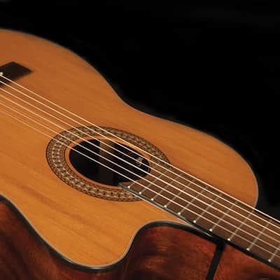Jasmine JC27CE Cutaway Classical Acoustic Electric Guitar image 4