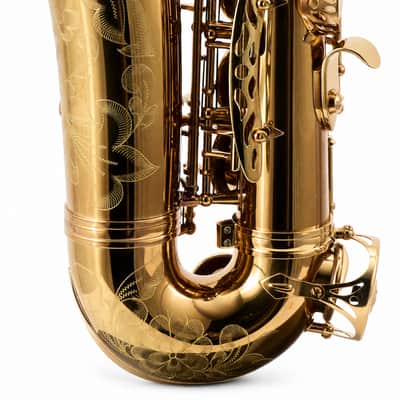 Eastman EAS850 'Rue Saint-Georges' Professional Alto Saxophone SN A2440262 image 12