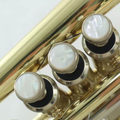 Bach Model 184ML Stradivarius Shepherd's Crook Cornet SN 766340 SUPERB image 23