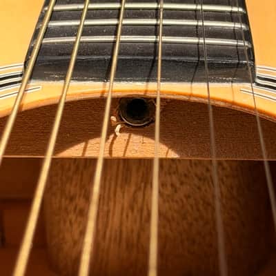 Peavey DW-1 Serial Number 0XIA0509 - Natural image 14