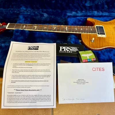 PRS Joe Walsh Signature McCarty 594 Singlecut McCarty Sunburst image 11