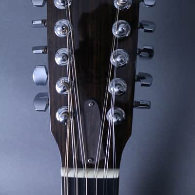 Taylor 555 12-String Mahogany image 7