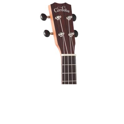 Cordoba 25S Soprano Ukulele image 4