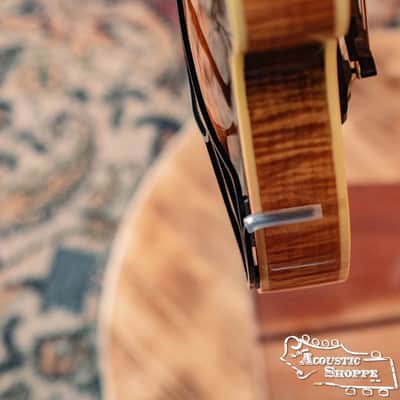Tone-Gard Mandolin - Vintage image 8