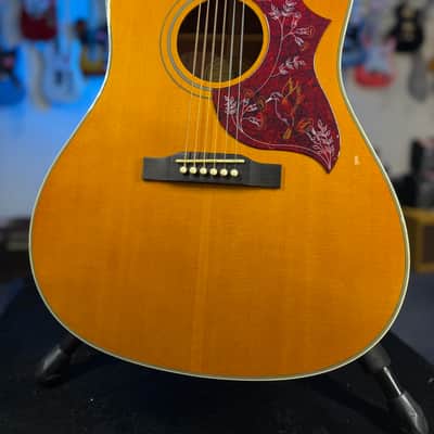 Tokai Hummingbird 180F Folk Guitar Japan Acoustic | Reverb