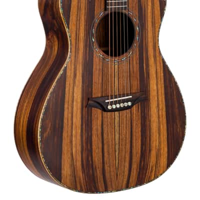 Bromo BAR 4GCE All-Solid Acoustic / Electric Guitar image 3