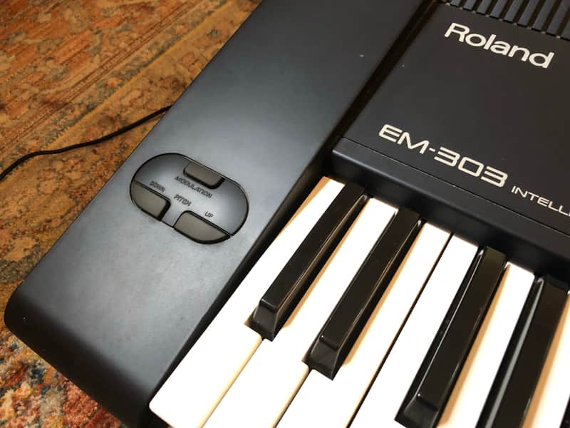 Roland EM-303 Intelligent Synthesizer | Reverb