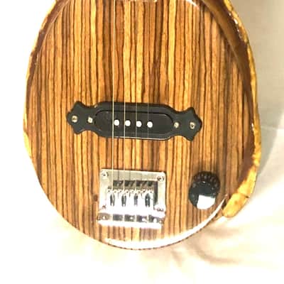 4 string Turtle shell slide guitar image 5