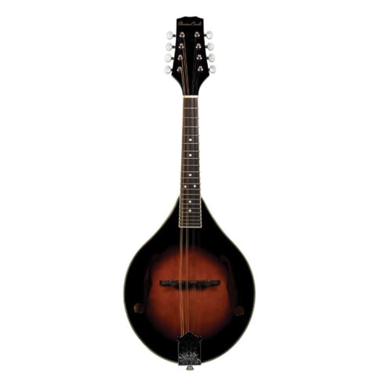 Beaver Creek Mandolin w/Bag BCMM201 image 1