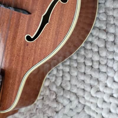 Alte Mandoline Gitarre Guitar Höfner Hofner  545 1950-1960 image 4