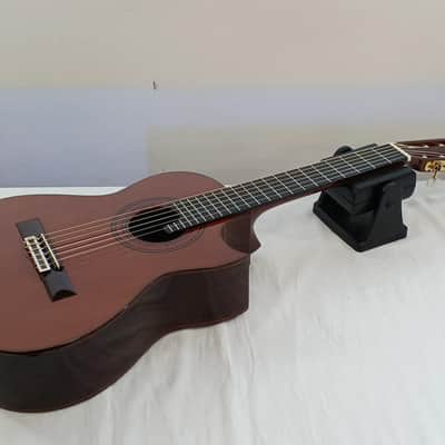 ASTURIAS Alto Guitar ALT-6 Quality Craftsmanship image 2