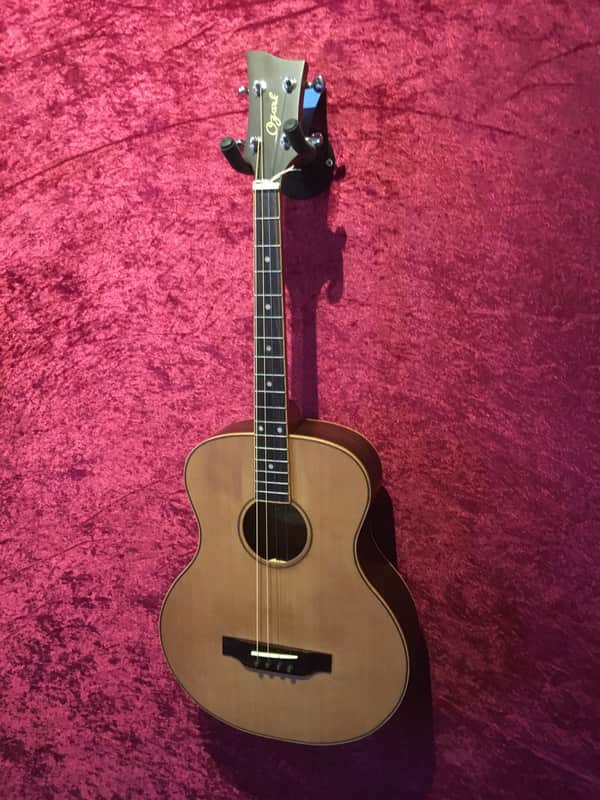Ozark 3372 Tenor Acoustic Guitar inc hard case image 1