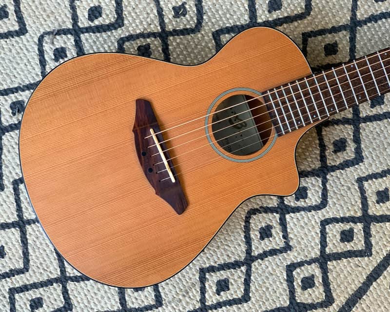 Breedlove C25 Passport - Mini travel guitar | Reverb Canada