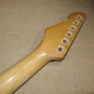 Neck Maple/Rosewood, Genuine Peavey Predator image 5