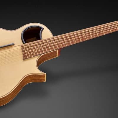 Warwick Alien 6-String Acoustic Bass Acoustic Bass image 3