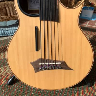 Warwick Alien 6 String Fretless Bass image 1