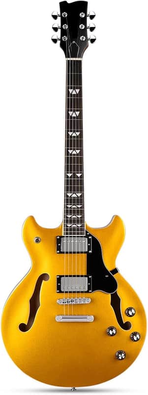 Electric Guitar with 6 String, Semi Hollow Body Electric Guitar, Humbucker Pickups, Roosewood Fingerboard, Rounded End Jumbo Frets, Full (Gold) image 1