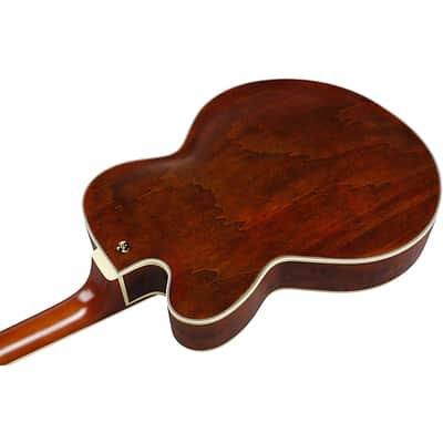 Ibanez PM3C NAL Pat Metheny Signature Hollowbody Electric Guitar. Natural Amber Low Gloss with Case image 7