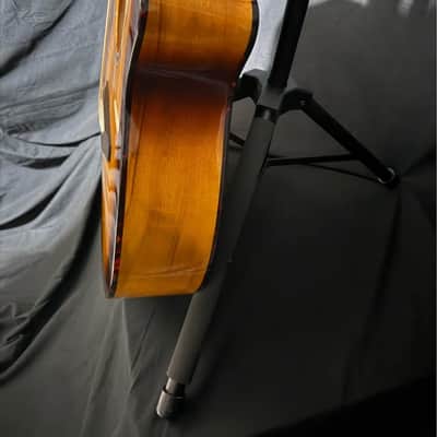 Breedlove Pursuit Exotic S Concert CE All Myrtlewood 2023 - Present - Twilight Burst image 8