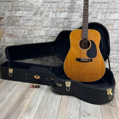 Jasmine by Takamine #S-33 Full-Size Dreadnaught Acoustic Guitar  with Hardshell Case image 1