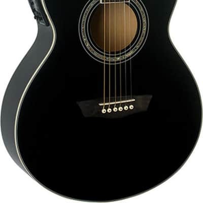 Washburn EA12B Mini Jumbo Acoustic-Electric  w/ Basswood Top, Back & Sides Free Shipping image 1
