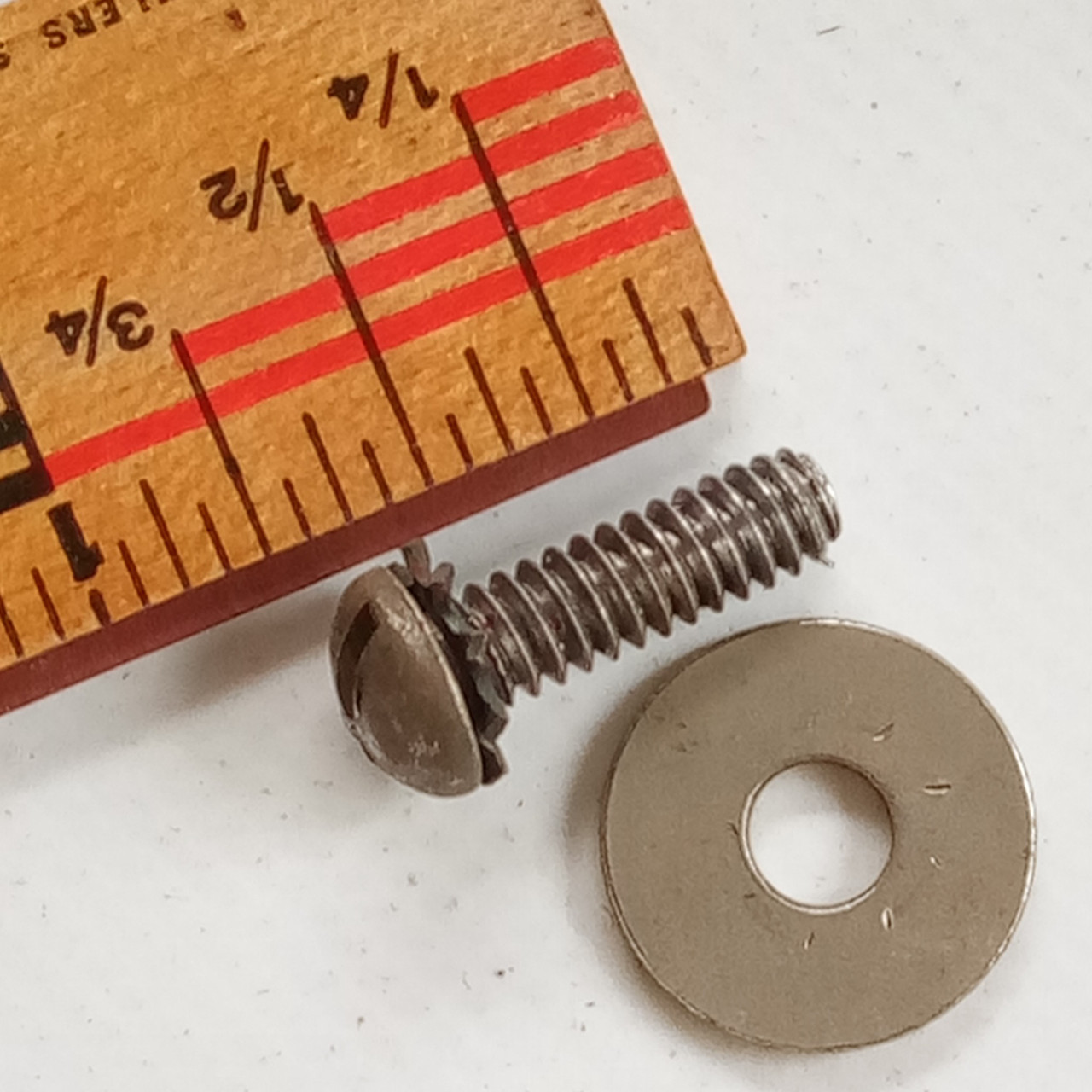 Leedy 5/8"10-24 Screw for Beavertail Lug Vintage 40s +Star +Nickel-Steel Washers — main photograph