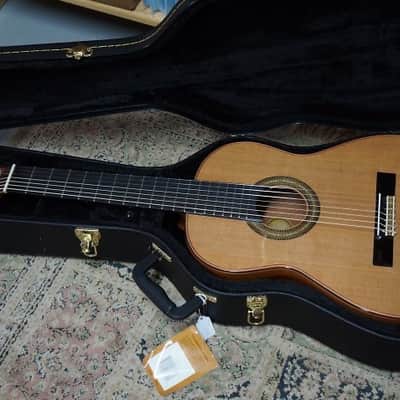 Giannini Asturias 7 String Classical Guitar with - Handcrafted in Brazil - GNC4/7 image 1