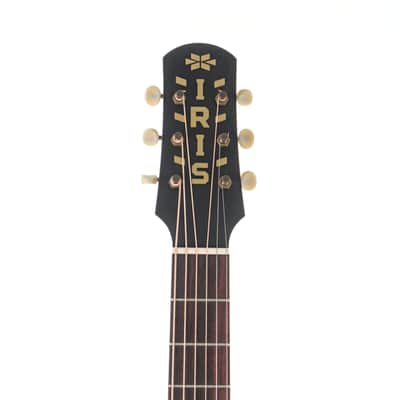 Iris DWH Natural Acoustic Guitar #1180 image 2
