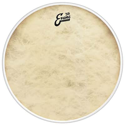 Evans EQ-4 Calftone 22" Bass Drum Head image 1