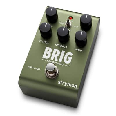 Strymon Brig dBucket Delay * Free WW Shipping * image 1