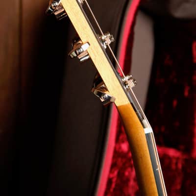 Taylor 214ce Plus Grand Auditorium Acoustic-Electric Guitar image 10