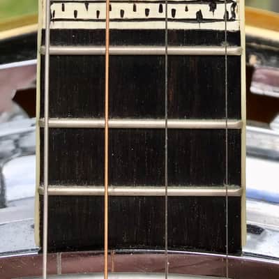 Vega Moderne Tenor Banjo image 6