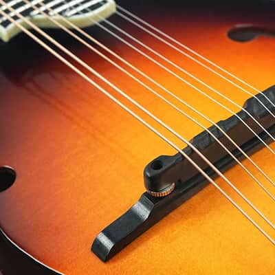 Immagine Eastman MD515/TV Wide Neck Sunburst - 7