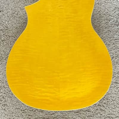 Gold Tone Mojo Round-neck Resonator Guitar with Pickup and Case image 8