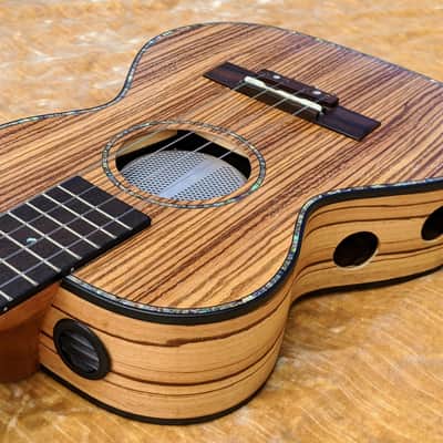 Liger Ukulele • Professional Tenor Ukulele with Built-in Amp and Speaker image 9