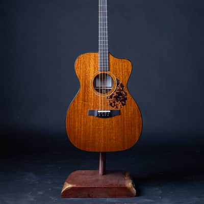 Bayard Guitars Guitar Bouzouki #0319 - Gloss oil varnish image 3