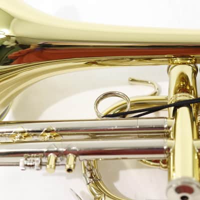 Bach Model 184ML Stradivarius Shepherd's Crook Cornet SN 768694 OPEN BOX image 16