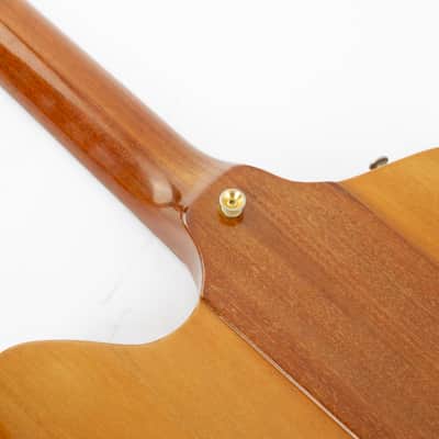 Gibson Firebird '76 Bicentennial 1976 Natural image 18
