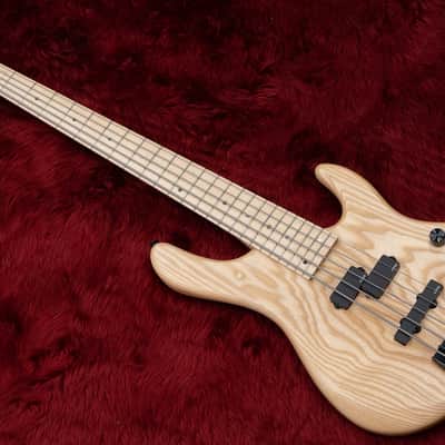 Capurso Guitars Spiral Standard 5st 3.945kg【横浜店】 image 2