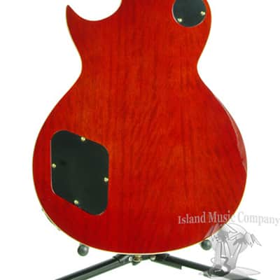 Jay Turser JT-220 Les Paul Style Electric Guitar image 7
