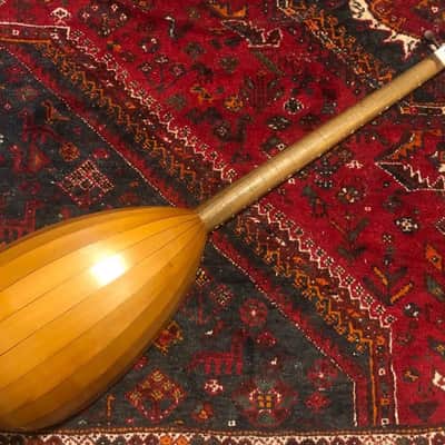 Lars Torressen Colascione Bass Lute 2020 image 4