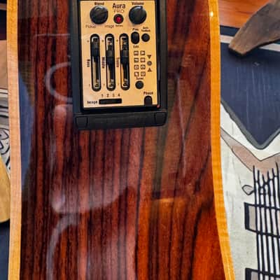 Zager ZAD-900CE 50th Anniversary Edition - Sunburst Fishman Aura Pro Pickup image 5