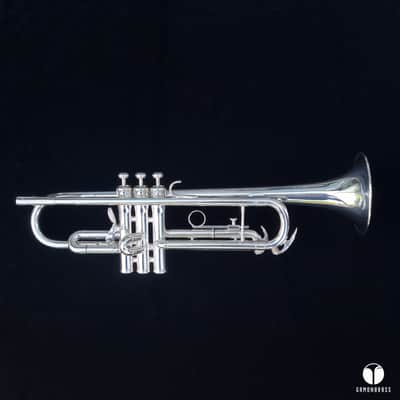 Vintage King Silverflair 1055T 0.462 Large Bore  GAMONBRASS case mouthpiece image 4
