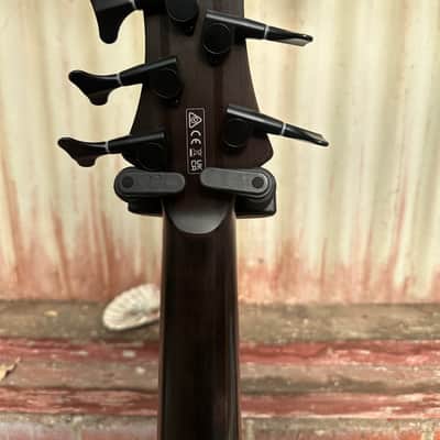 Ibanez BTB805MS-TGF Bass Workshop 2022 - Present - Transparent Gray Flat image 4