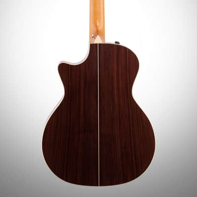 Taylor 814ce-N Grand Auditorium Classical Nylon Acoustic-Electric Guitar (with Case) image 5